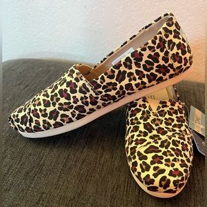 Never worn Tom shoes